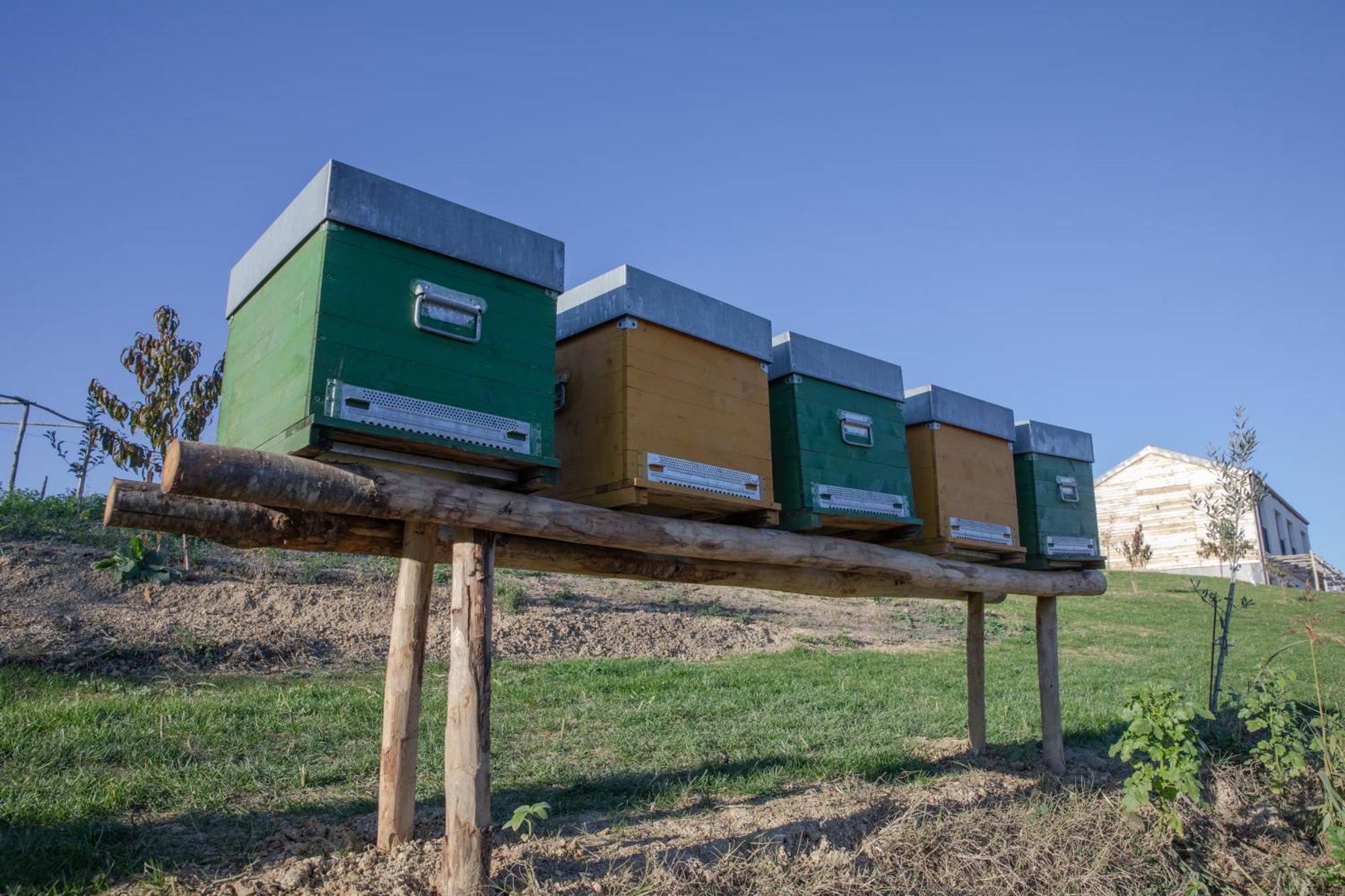 Cascina Rueral * Montafia